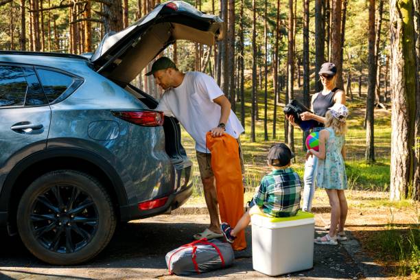 road trip voiture, glacière électrique